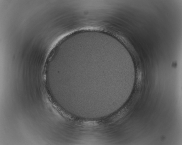 X0000116120628201001040951