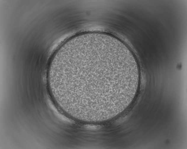 X0000116120629201001040951