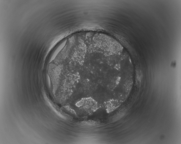 X0000116120630201001040951