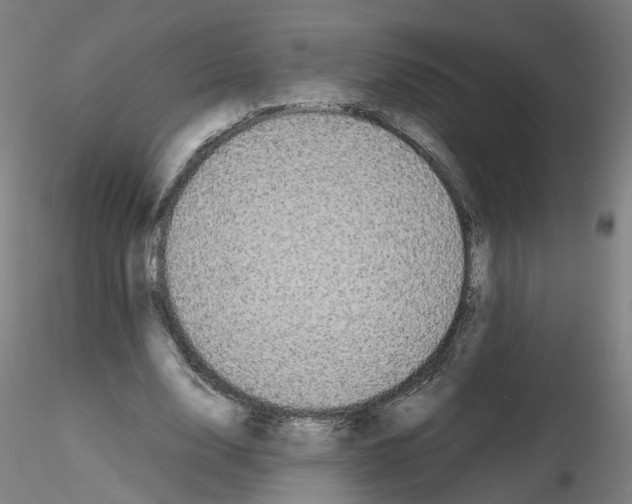 X0000116120632201001040951