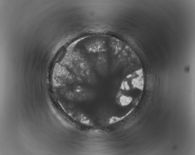 X0000116120634201001040951