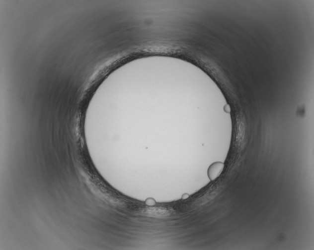X0000116120636201001040951
