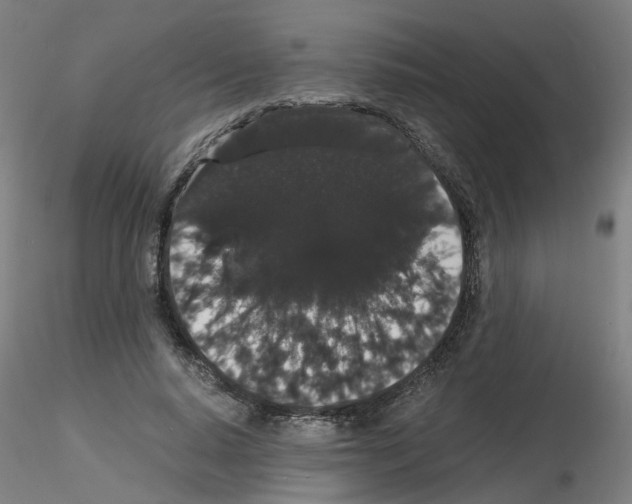 X0000116120640201001040951