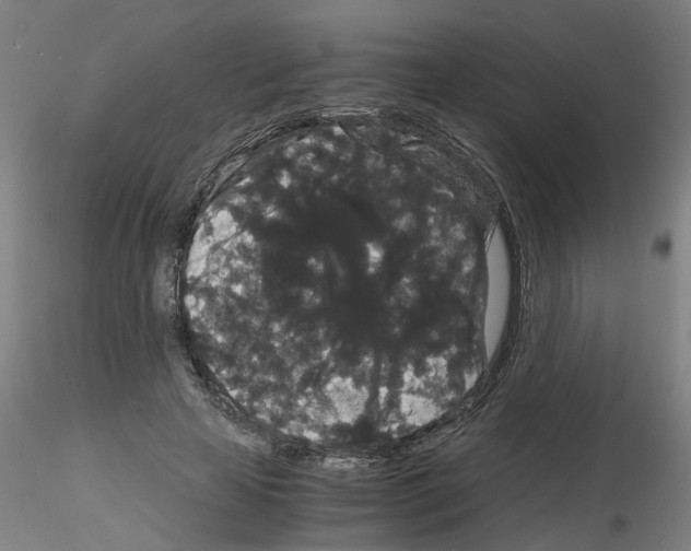 X0000116120641201001040951