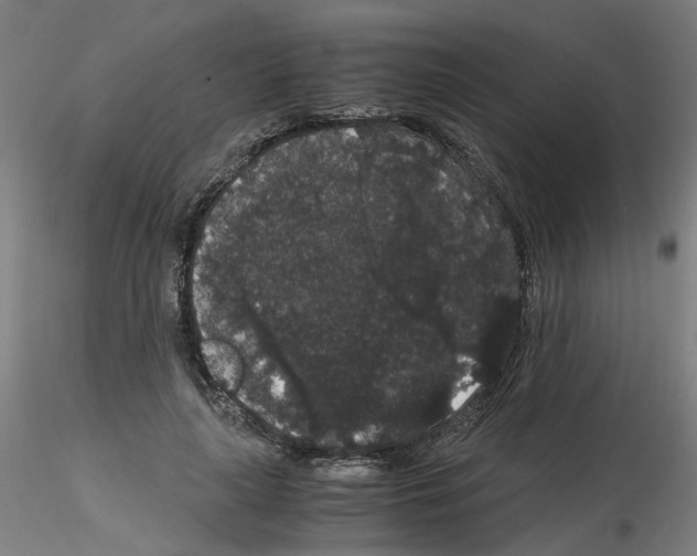 X0000116120643201001040951