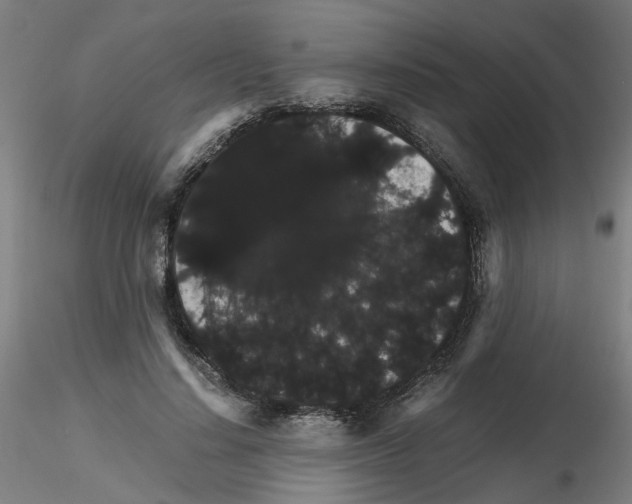 X0000116120644201001040951
