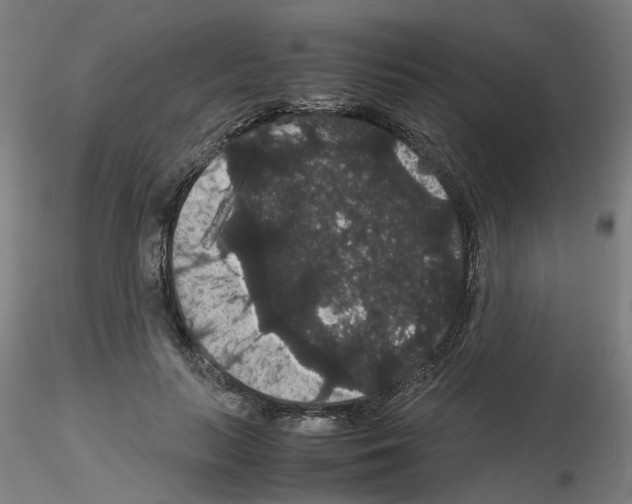 X0000116120647201001040951
