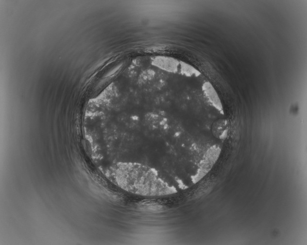 X0000116120648201001040951