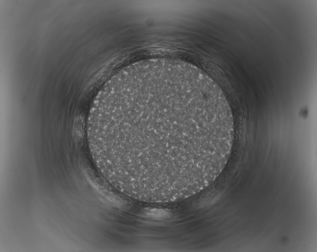 X0000116120649201001040951