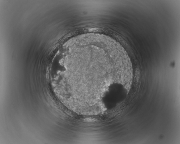 X0000116120650201001040951