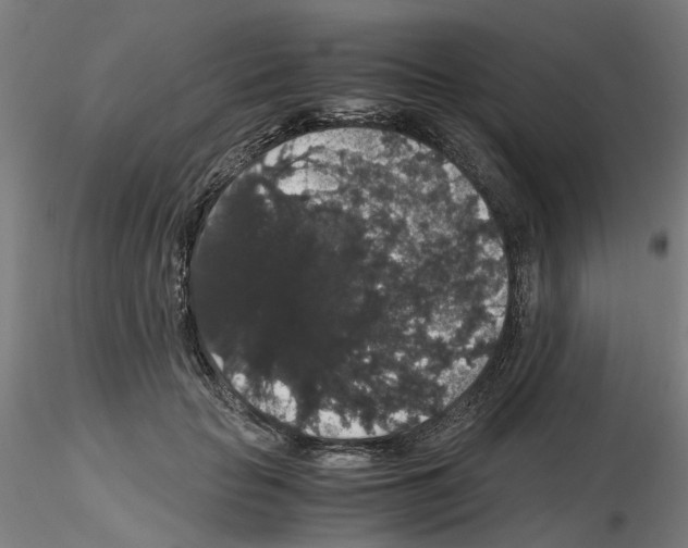 X0000116120653201001040951