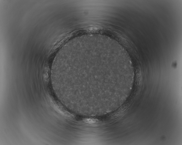 X0000116120654201001040951