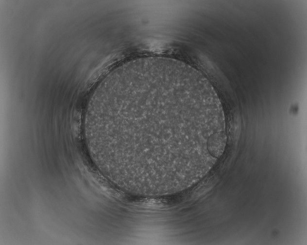 X0000116120656201001040951