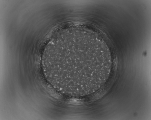 X0000116120657201001040951