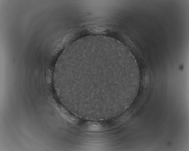 X0000116120658201001040951