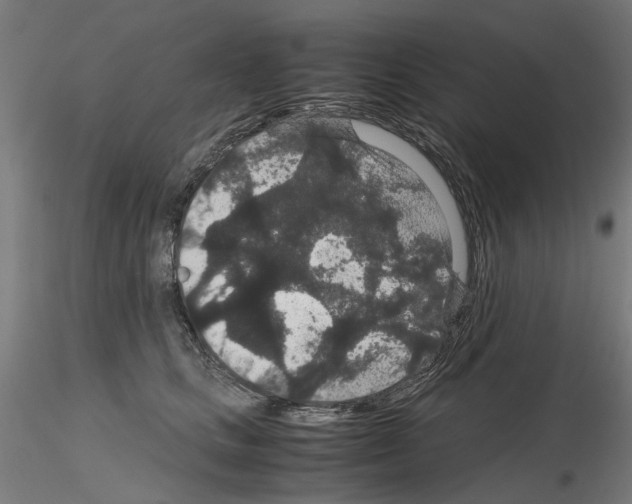 X0000116120661201001040951