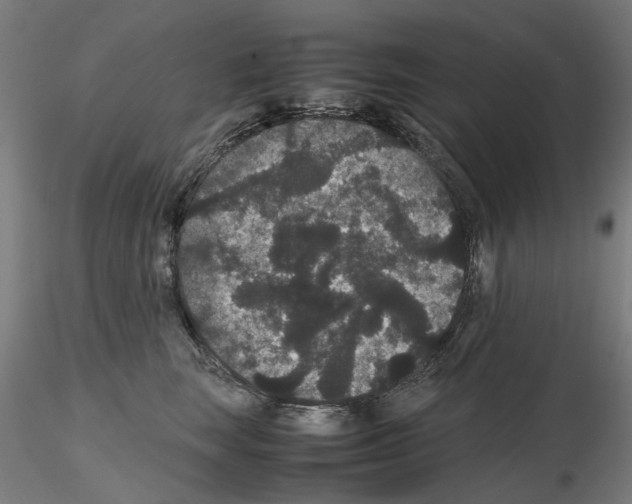X0000116120663201001040951