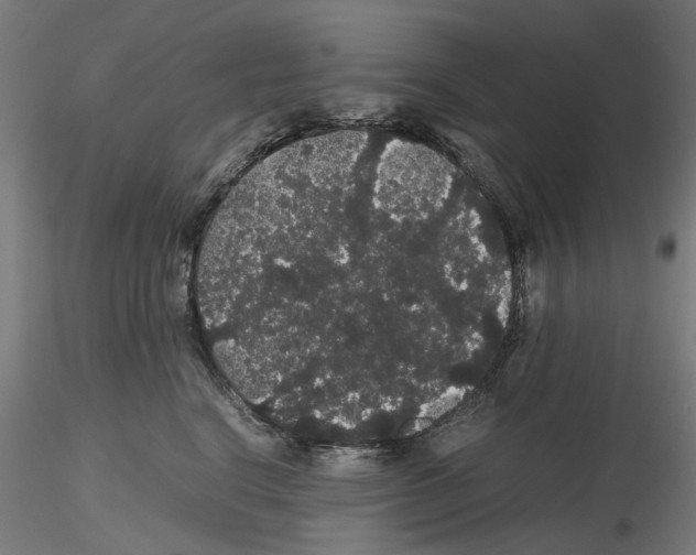X0000116120664201001040951