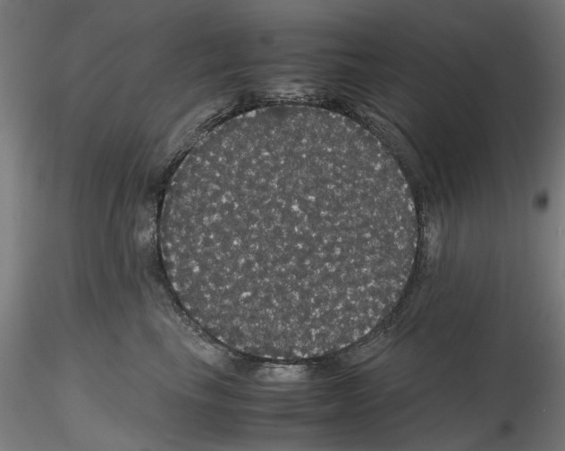 X0000116120665201001040951