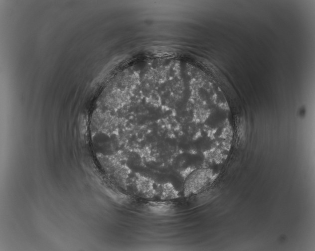 X0000116120667201001040951
