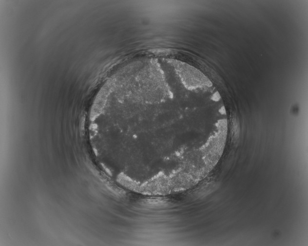 X0000116120668201001040951