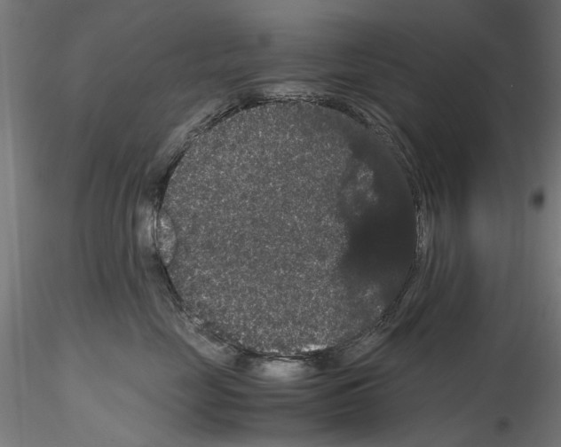 X0000116120669201001040951