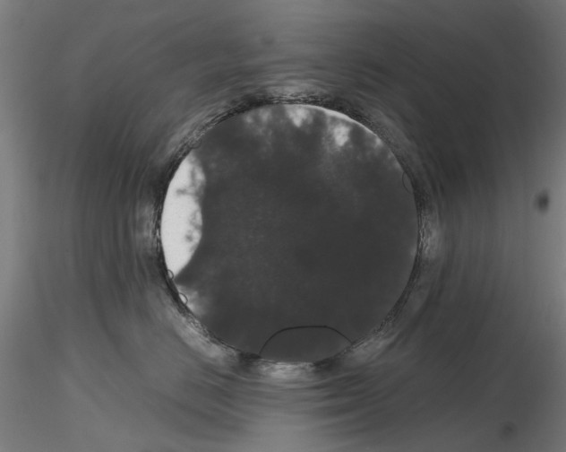 X0000116120670201001040951