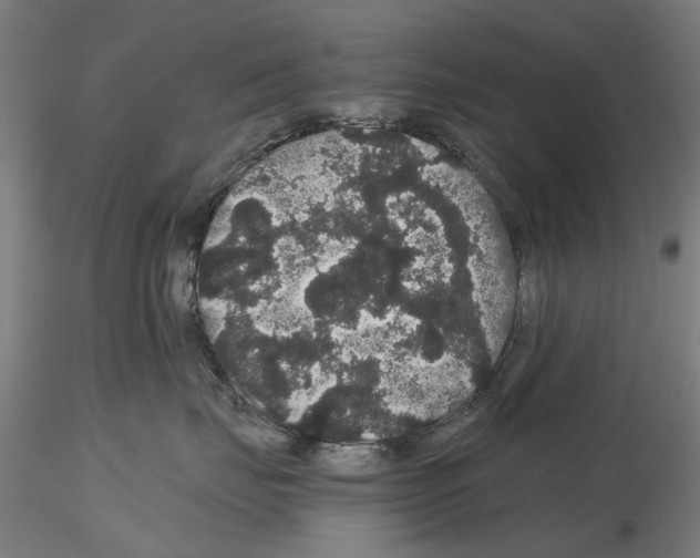 X0000116120671201001040951