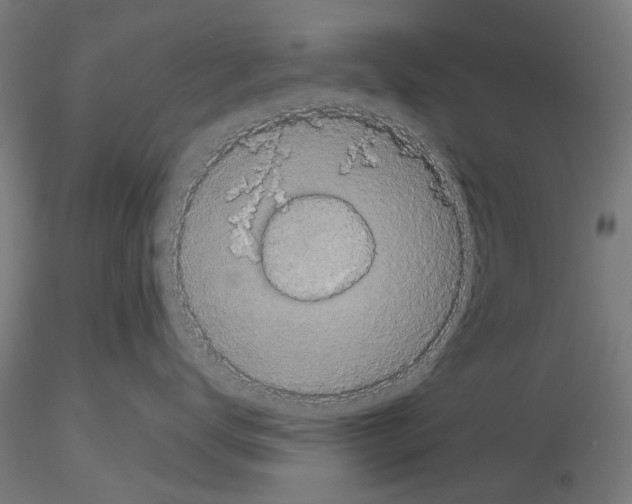 X0000116120672201001040951
