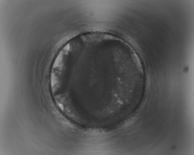X0000116120673201001040951