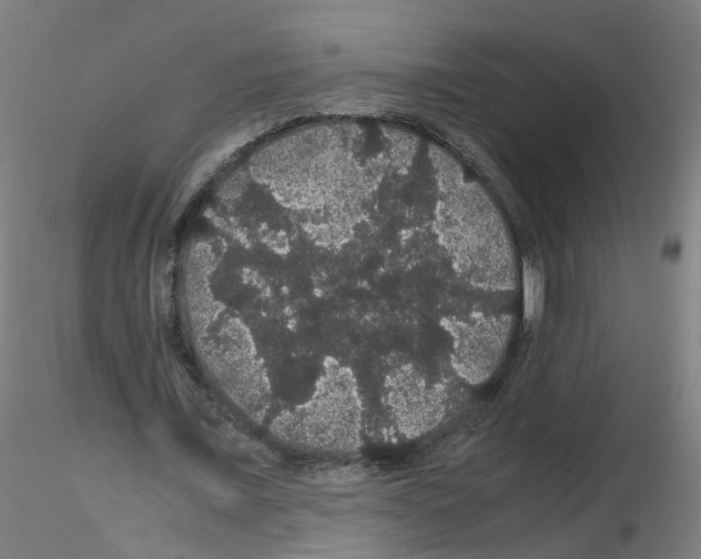 X0000116120675201001040951