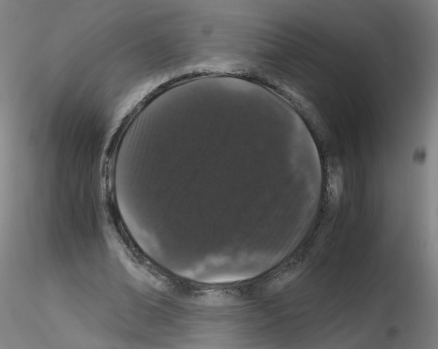X0000116120678201001040951