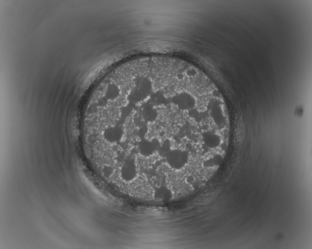 X0000116120683201001040951