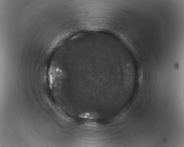 X0000116120685201001040951