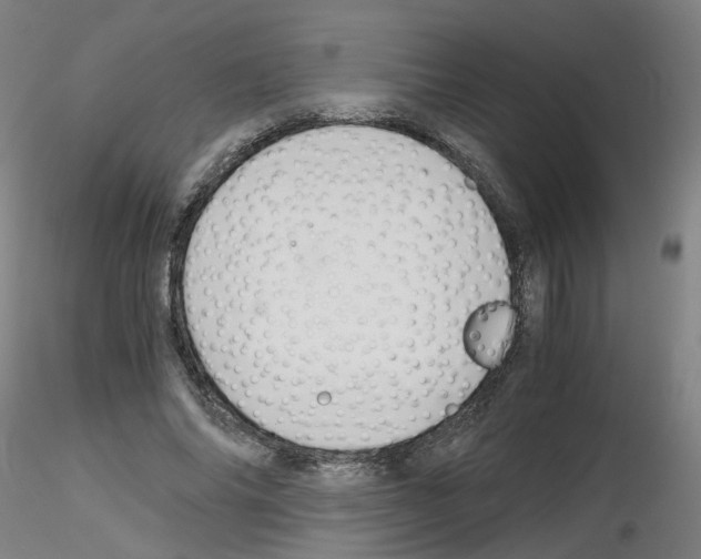 X0000116120686201001040951