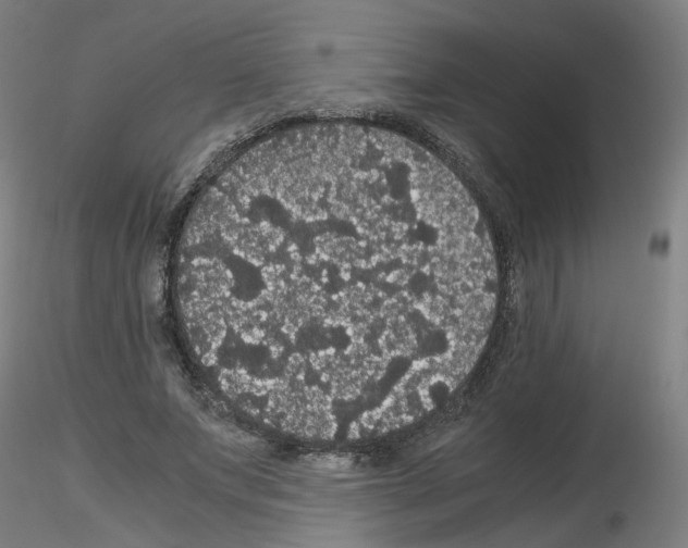 X0000116120687201001040951