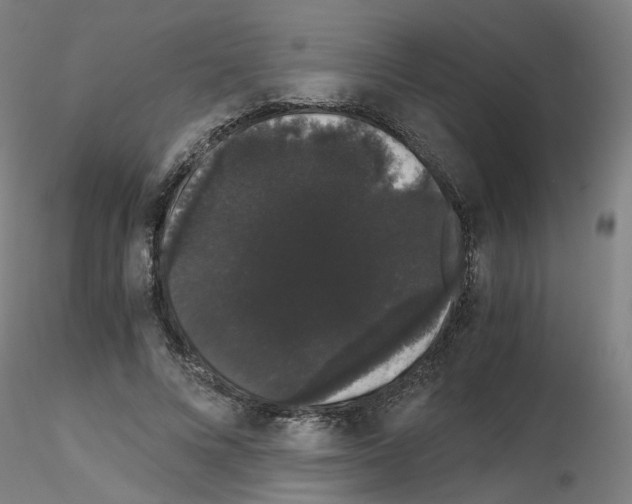 X0000116120688201001040951