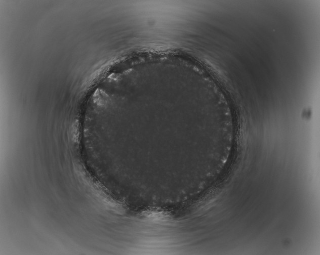 X0000116120689201001040951