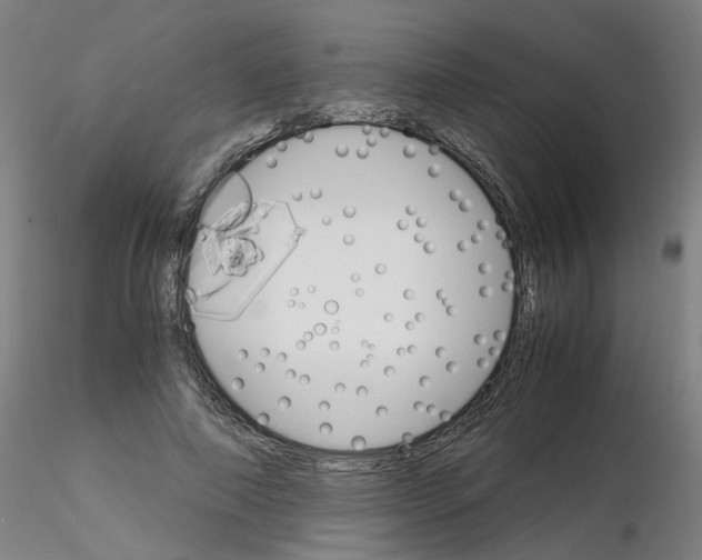 X0000116120690201001040951