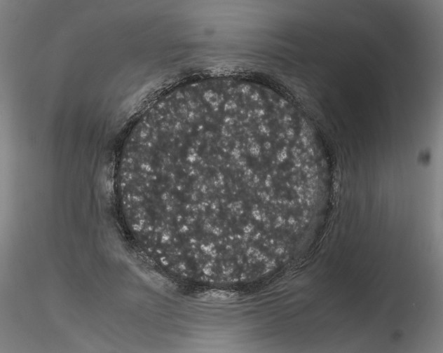 X0000116120691201001040951