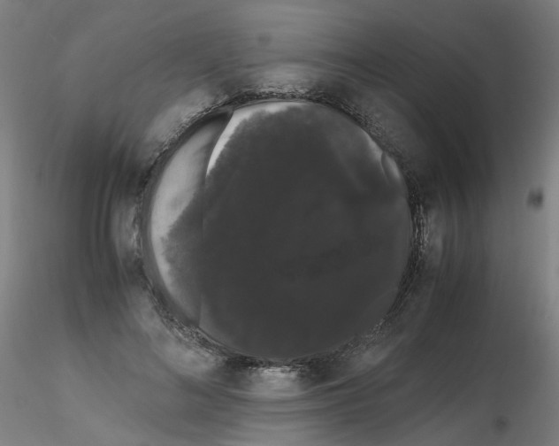 X0000116120692201001040951