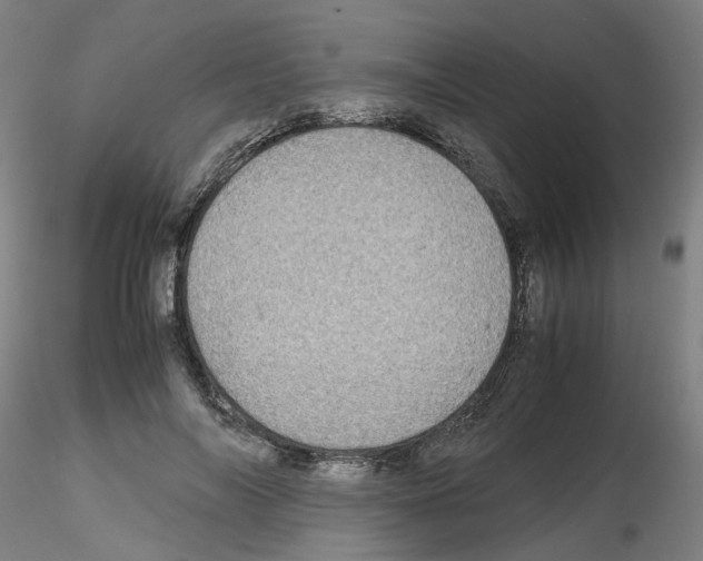 X0000116120694201001040950