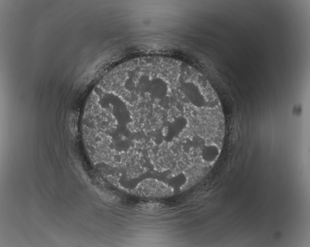 X0000116120695201001040950