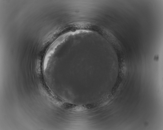 X0000116120696201001040950