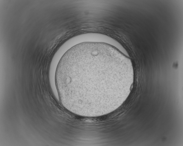 X0000116120697201001040950