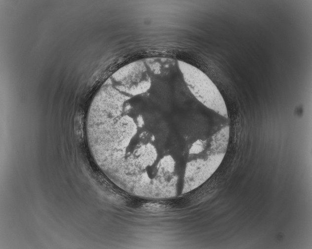 X0000116120699201001040950