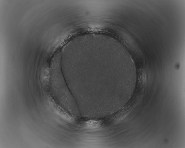 X0000116120700201001040950