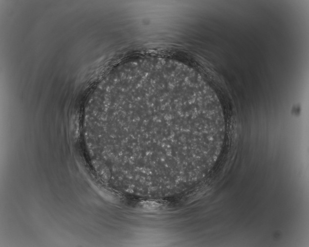 X0000116120703201001040950