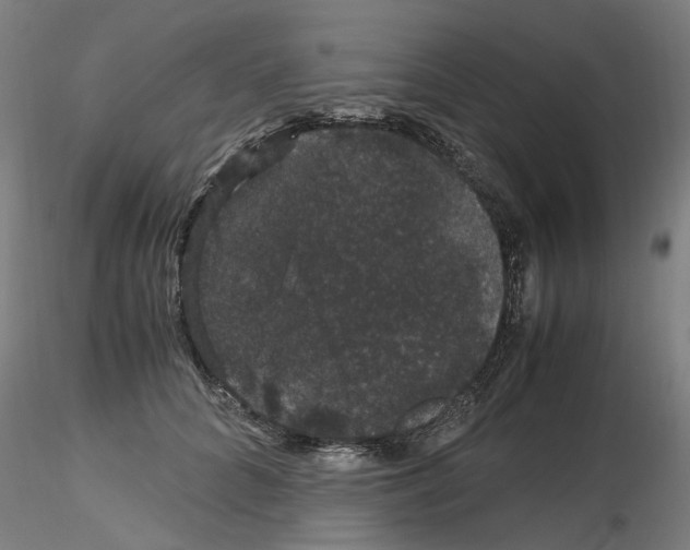 X0000116120704201001040950