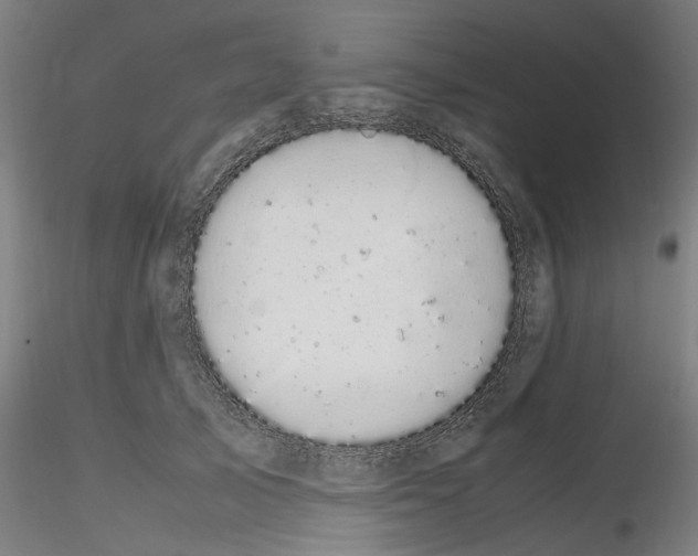 X0000116120705201001040950